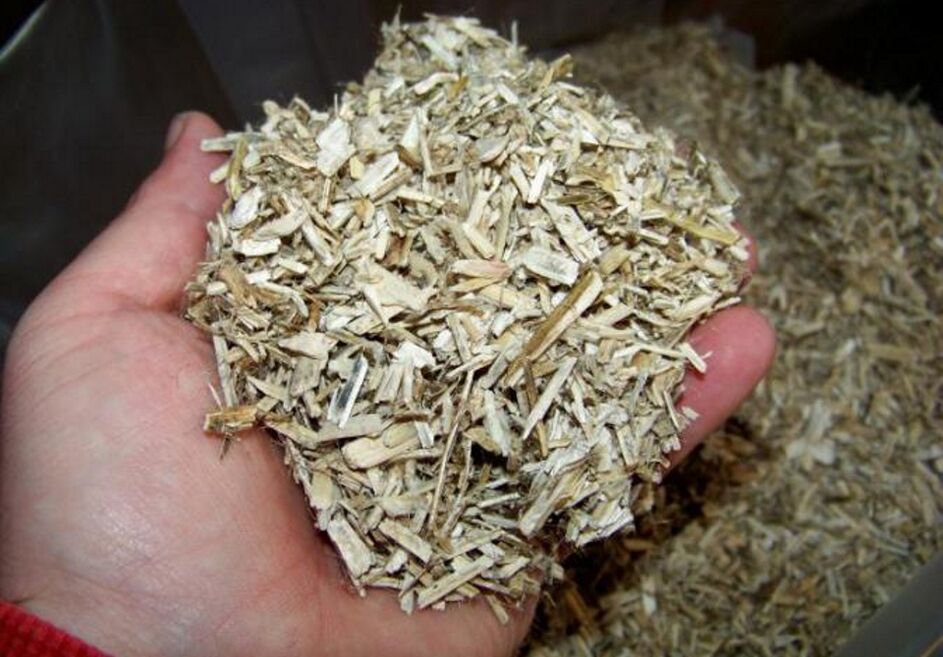 Casca de Aspen para preparar uma tintura medicinal para prostatite em homens